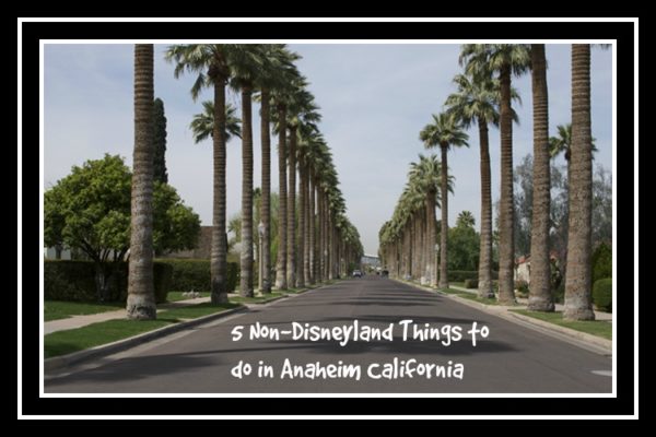 5 non disneyland things to do in anaheim