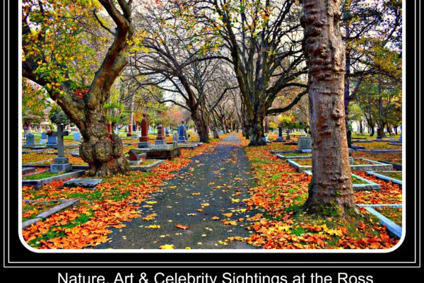 Nature, Art & Celebrity Sightings at the Ross Bay Cemetery