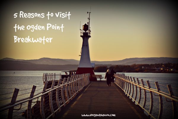 5 Reasons to visit the Ogden Point Breakwater first dates great food walk